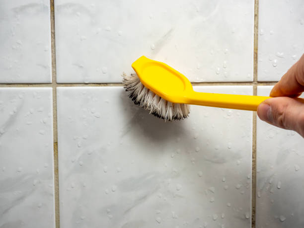 Best Mold Removal Company Near Me  in Lineville, AL