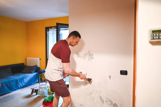 Best Fast Mold Removal  in Lineville, AL